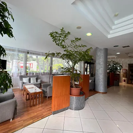 Hotel Alemagna Lido Del Sole 4*